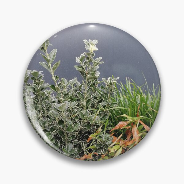 Artikelvorschau, Decorative Green Plants In Modern Blue Planter entworfen und verkauft von PhuongVoArt.