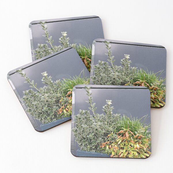 Item preview, Decorative Green Plants In Modern Blue Planter designed and sold by PhuongVoArt.