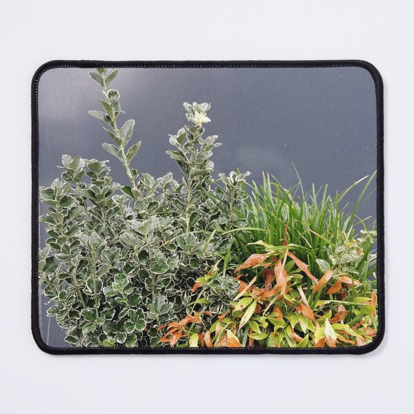 Item preview, Decorative Green Plants In Modern Blue Planter designed and sold by PhuongVoArt.