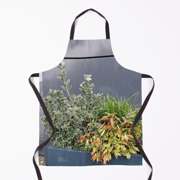Item preview, Decorative Green Plants In Modern Blue Planter designed and sold by PhuongVoArt.