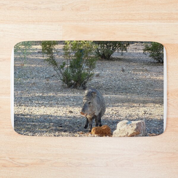 Item preview, Javelina In Sonoran Desert designed and sold by Alice  Becky Kahn.
