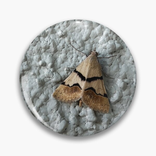 Item preview, Arizona Moth designed and sold by Alice  Becky Kahn.