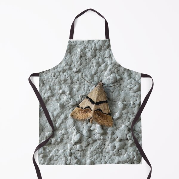Item preview, Arizona Moth designed and sold by Alice Becky Kahn.
