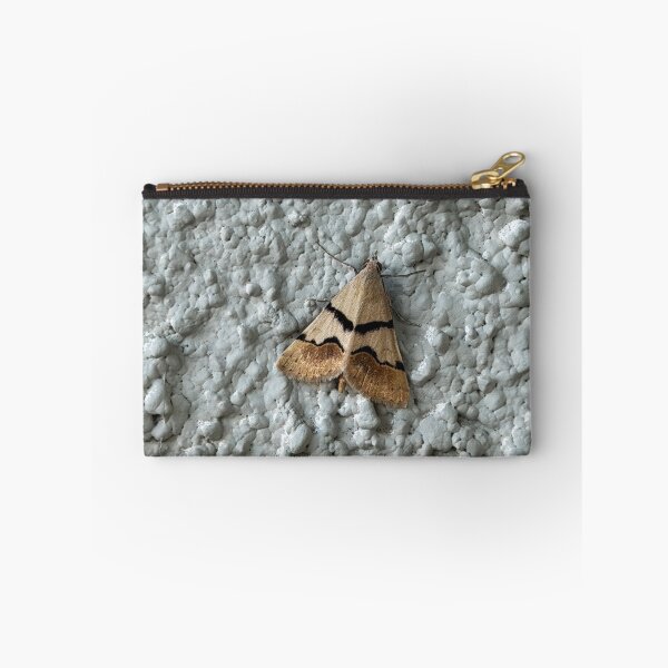 Item preview, Arizona Moth designed and sold by Alice  Becky Kahn.