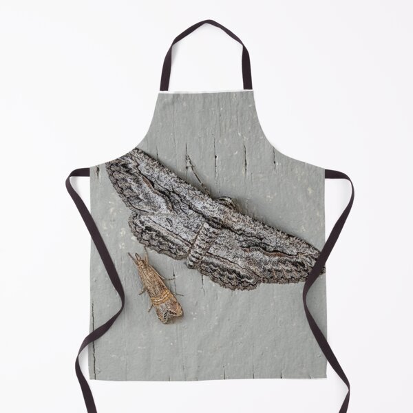 Item preview, Two Moths in Arizona designed and sold by Alice Becky Kahn.