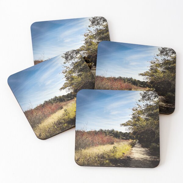Item preview, Quiet Path Through Autumn Pines - Nature Photography  designed and sold by JamesDArting.