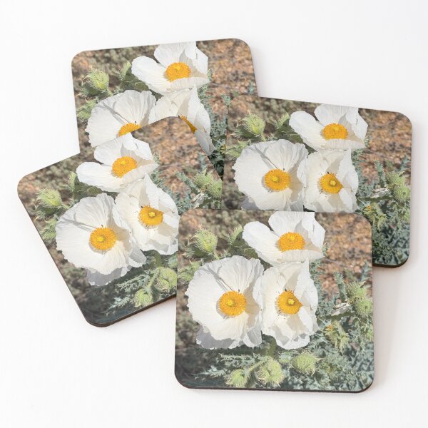 Item preview, Prickly Poppy in Arizona Desert designed and sold by Alice  Becky Kahn.