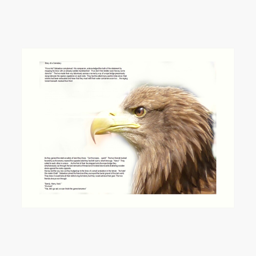 story of a cemetary Art Print