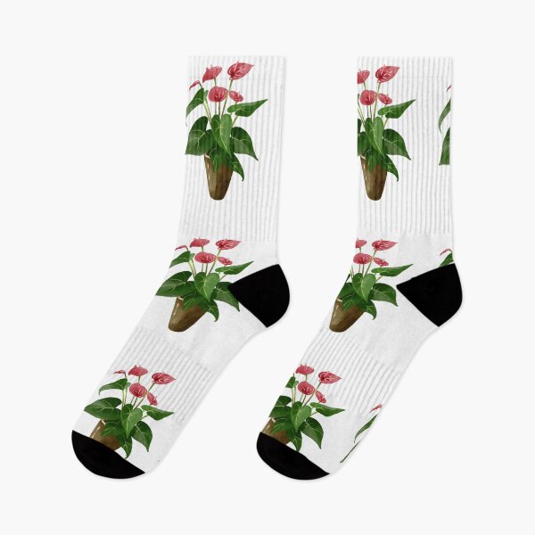 Aperçu de l'œuvre Anthurium rouge aquarelle en pot créée et vendue par Ms. Iryna.