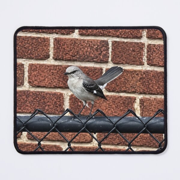 Item preview, Northern Mockingbird Portrait Perched Elegantly designed and sold by Astute-Artio-Photography.