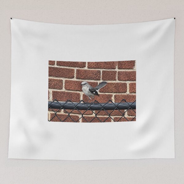 Item preview, Northern Mockingbird Portrait Perched Elegantly designed and sold by Astute-Artio-Photography.