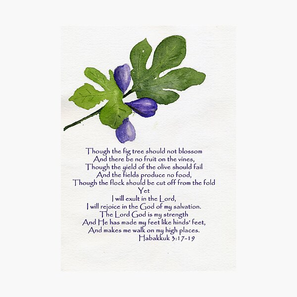 Hope - Habakkuk 3:17-19 Photographic Print