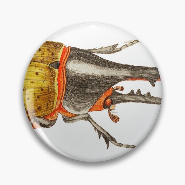 Item preview, Hercules beetle illustration from The Naturalist's Miscellany (1789-1813) by George Shaw (1751-1813). designed and sold by AngyDesigns49.