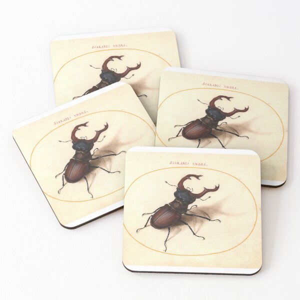 Item preview, Stag Beetle (c. 1575-1580) painting by Joris Hoefnagel designed and sold by AngyDesigns49.