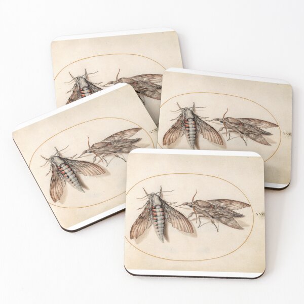 Item preview, _Two Hawk Moths (c. 1575-1580) painting by Joris Hoefnagel designed and sold by AngyDesigns49.