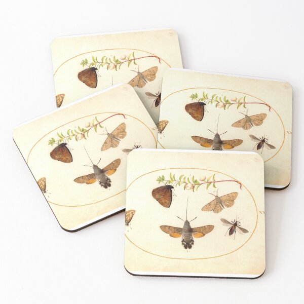 Item preview, Hawk Moth, Butterflies, and Other Insects around a Snowberry Sprig, (c. 1575-1580) painting by Joris Hoefnagel designed and sold by AngyDesigns49.