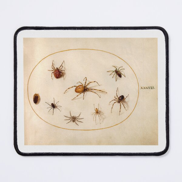 Item preview, Seven Spiders and an Insect (c. 1575-1580) painting by Joris Hoefnagel designed and sold by AngyDesigns49.
