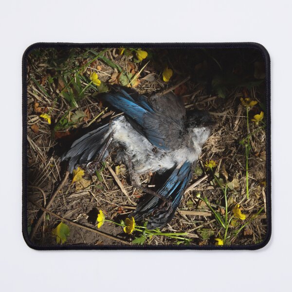 Item preview, Rest in peace, Jay. designed and sold by herongirlart.