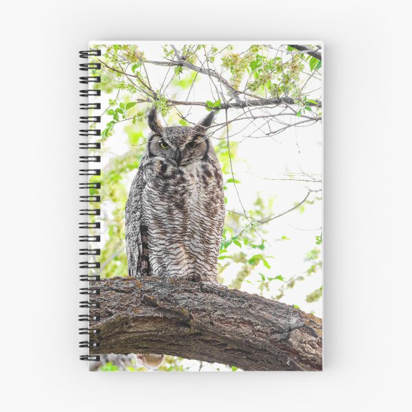 Item preview, Momma Great Horned Owl designed and sold by herongirlart.