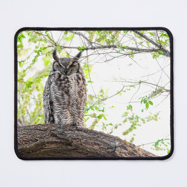 Item preview, Momma Great Horned Owl designed and sold by herongirlart.