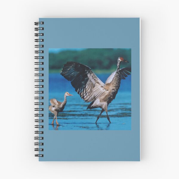 Item preview, bird crane designed and sold by colorgallery11.
