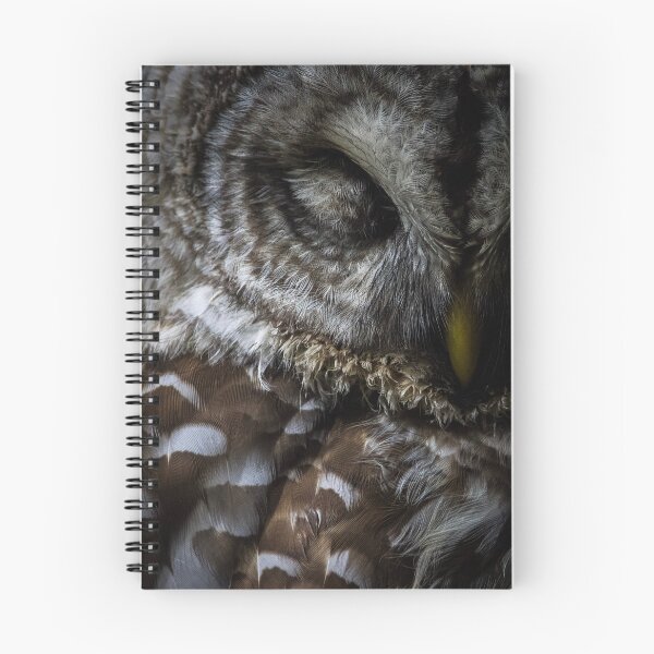 Item preview, Barris The Barred Owl designed and sold by herongirlart.