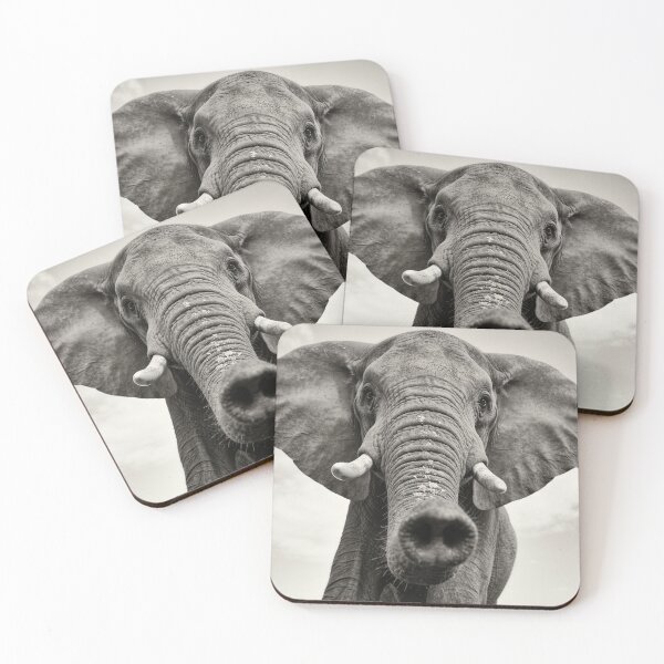 Item preview, Funny Elephant Black and White Portrait Print, Monochrome Wildlife Wall Art designed and sold by QuietCanvasArtworks.