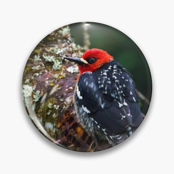 Item preview, Ozzy The Red Breasted Sapsucker designed and sold by herongirlart.