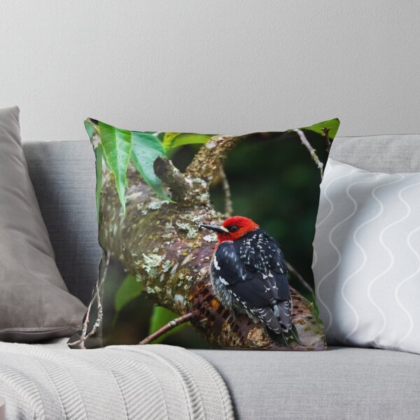 Item preview, Ozzy The Red Breasted Sapsucker designed and sold by herongirlart.