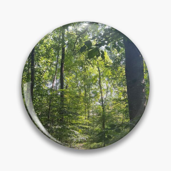 Item preview, A Secret Seat Among the Trees designed and sold by Astute-Artio-Photography.