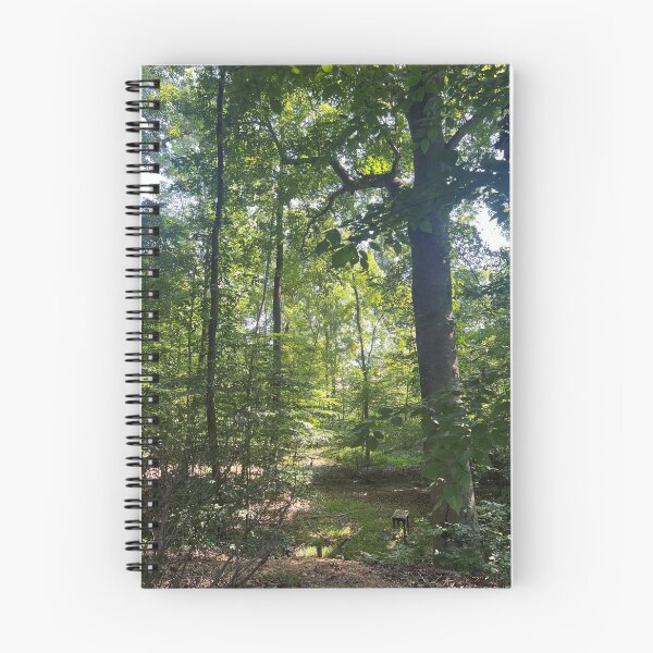 Item preview, A Secret Seat Among the Trees designed and sold by Astute-Artio-Photography.