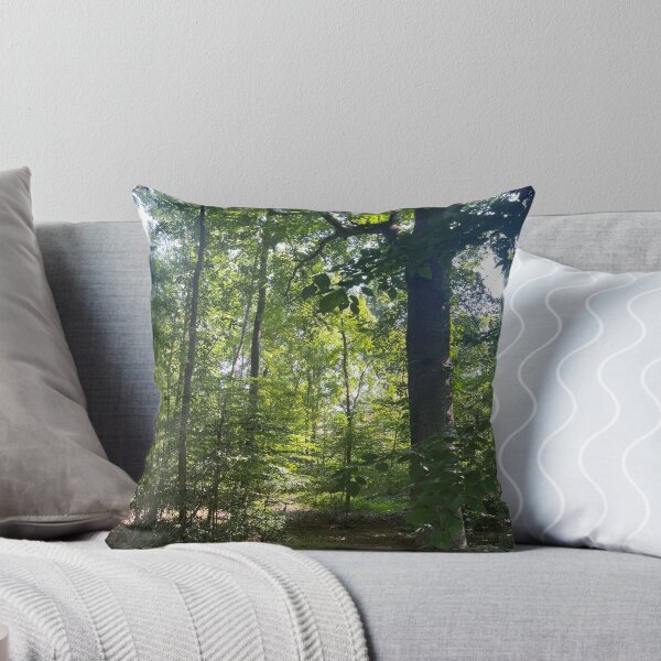 Item preview, A Secret Seat Among the Trees designed and sold by Astute-Artio-Photography.