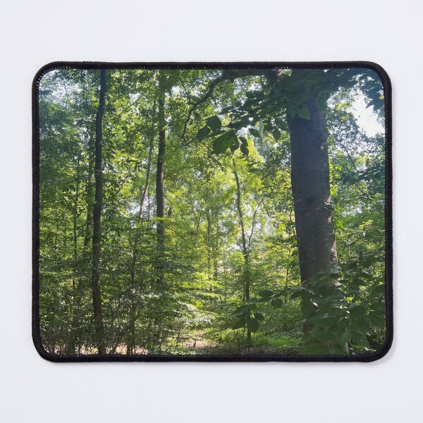 Item preview, A Secret Seat Among the Trees designed and sold by Astute-Artio-Photography.