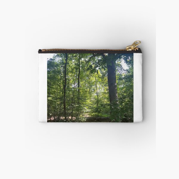 Item preview, A Secret Seat Among the Trees designed and sold by Astute-Artio-Photography.