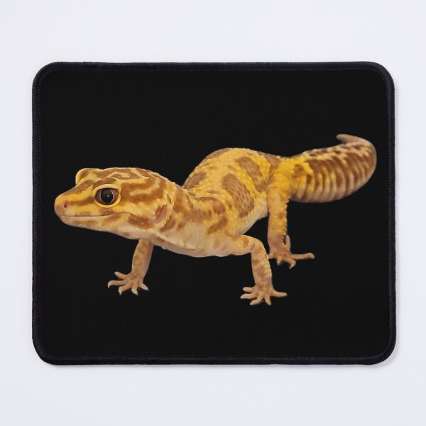 Item preview, Leopard Gecko 2 designed and sold by 4 Rescued Exotics.