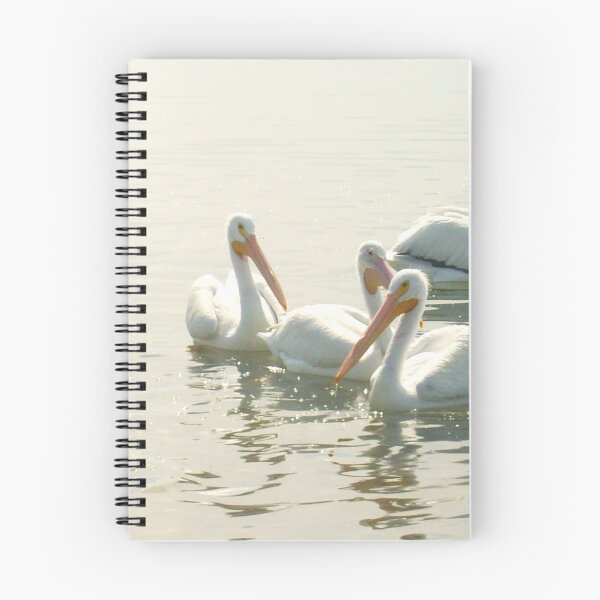 Item preview, Beautiful White Pelicans Swimming Together designed and sold by AuraNatura.