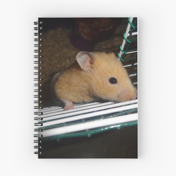 Item preview, Cute Golden Syrian Hamster Close Up designed and sold by AuraNatura.