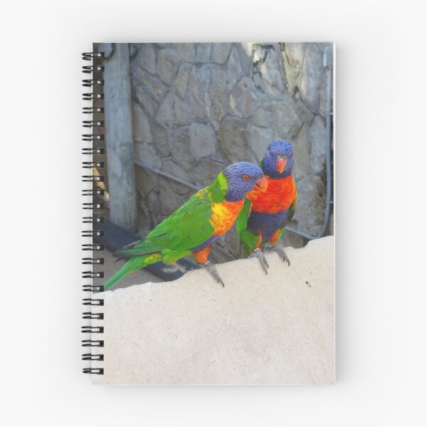 Item preview, Rainbow Lorikeet Parrots Sitting Together designed and sold by AuraNatura.