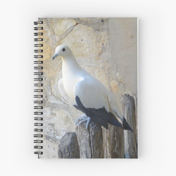 Item preview, Elegant Pied Imperial Pigeon on Wood designed and sold by AuraNatura.