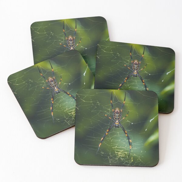 Item preview, Humped Golden Orb-weaver designed and sold by robdanimalphotography.