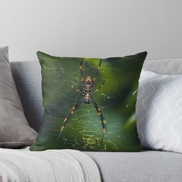Item preview, Humped Golden Orb-weaver designed and sold by robdanimalphotography.