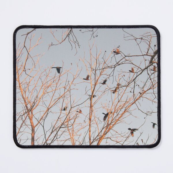 Item preview, Birds Flying Through Bare Tree Branches designed and sold by AuraNatura.