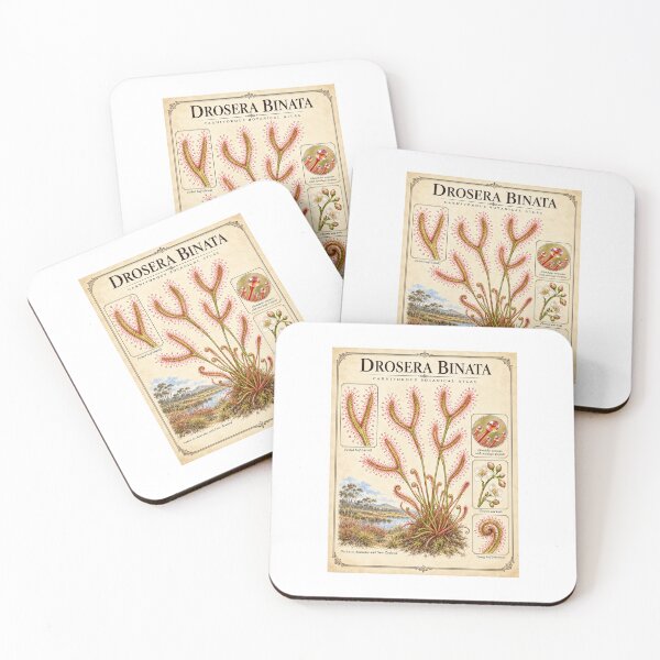 Item preview, Drosera Binata Forked Leaf Sundew – Vintage Carnivorous Plant Botanical Illustration designed and sold by nerdamus.
