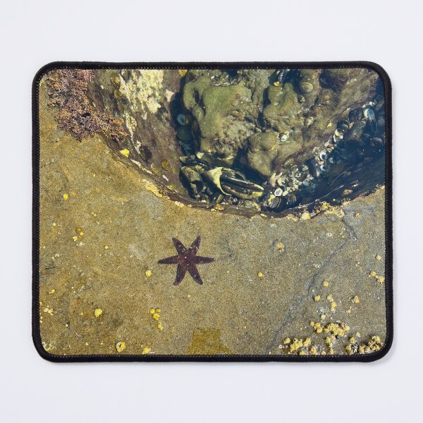 Item preview, Starfish  designed and sold by PangaeaRose.