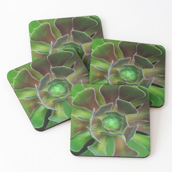Item preview, Vibrant Succulent designed and sold by heatherfriedman.