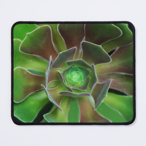 Item preview, Vibrant Succulent designed and sold by heatherfriedman.