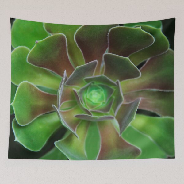Item preview, Vibrant Succulent designed and sold by heatherfriedman.