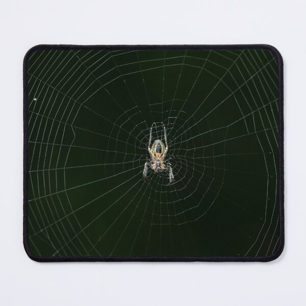 Item preview, Eastern bush orb-weaver designed and sold by robdanimalphotography.