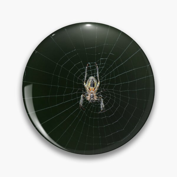Item preview, Eastern bush orb-weaver designed and sold by robdanimalphotography.