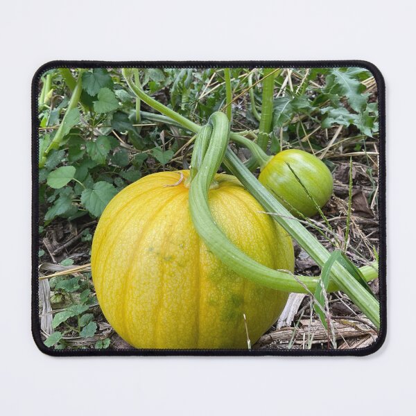 Item preview, Light Pumpkin designed and sold by Abeink1030.